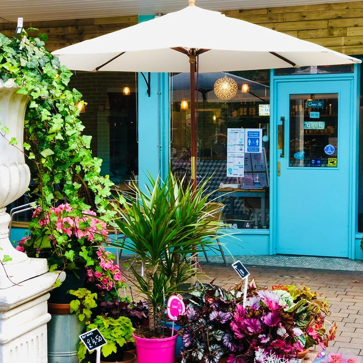 The turquoise front of Number 7 Kitchen with plants and outdoor seating